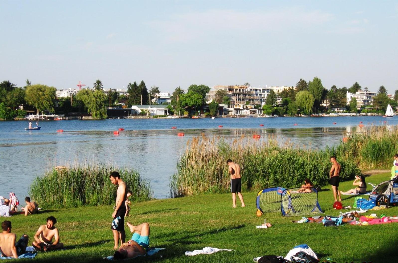 Yuki'S Place - Un-Vic, Danube Beach And Subway Near To Downtown Вена Экстерьер фото